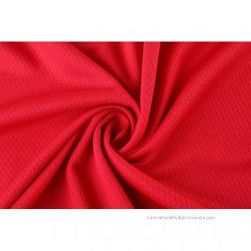 Camiseta de Entrenamiento Bayern Munich 2022-2023 Rojo