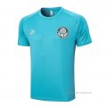 Camiseta de Entrenamiento Palmeiras 2023-2024 Verde