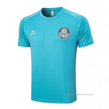 Camiseta de Entrenamiento Palmeiras 2023-2024 Verde Camiseta de Entrenamiento Palmeiras 2023-2024 Verde