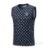 Camiseta de Entrenamiento Paris Saint-Germain Jordan Sin Mangas 2022-2023 Azul