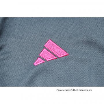 Chandal de Sudadera del Alemania 2024-2025 Gris