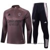 Chandal de Sudadera del Arsenal 2024-2025 Gris Purpura Chandal de Sudadera del Arsenal 2024-2025 Gris Purpura