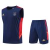 Chandal del Ajax Sin Mangas 2022-2023 Azul Chandal del Ajax Sin Mangas 2022-2023 Azul