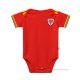 1ª Camiseta Gales Bebe 2022