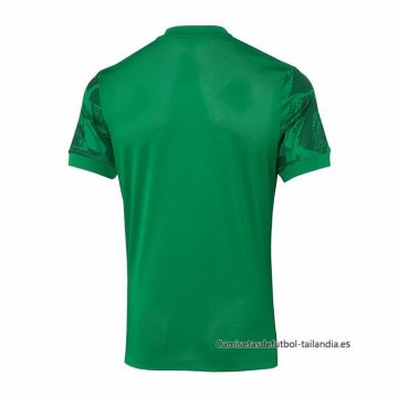 Camiseta Pre Partido del Sporting 2025-2026 Verde