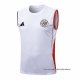Camiseta de Entrenamiento Ajax Sin Mangas 2025-2026 Blanco