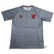Camiseta de Entrenamiento Athletico Paranaense 2024-2025 Gris