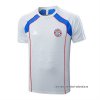 Camiseta de Entrenamiento Bayern Munich 2025-2026 Gris Camiseta de Entrenamiento Bayern Munich 2025-2026 Gris