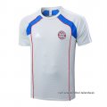 Camiseta de Entrenamiento Bayern Munich 2025-2026 Gris