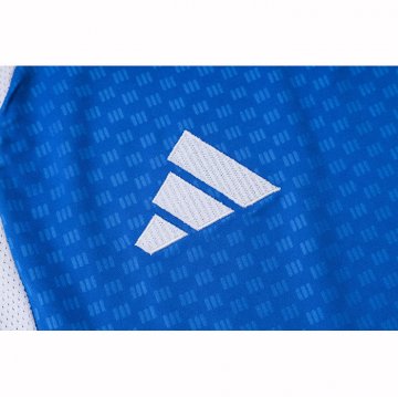 Camiseta de Entrenamiento Cruzeiro Sin Mangas 2025-2026 Azul