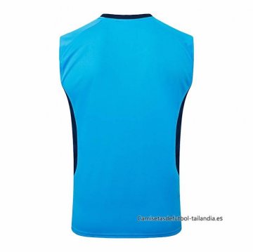Camiseta de Entrenamiento Gremio Sin Mangas 2025-2026 Azul