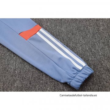 Chandal de Chaqueta del Cruzeiro 2024-2025 Gris