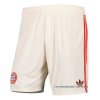 3ª Pantalones Bayern Munich 2024-2025