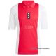 Camiseta Ajax Anniversary 2024-2025