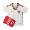 2ª Camiseta Gales Nino 2022
