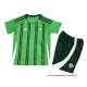 1ª Camiseta Irlanda del Norte Nino 2024