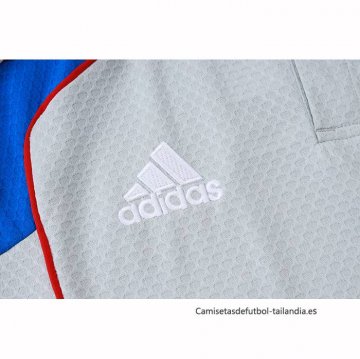 Camiseta Polo del Bayern Munich 2025-2026 Gris