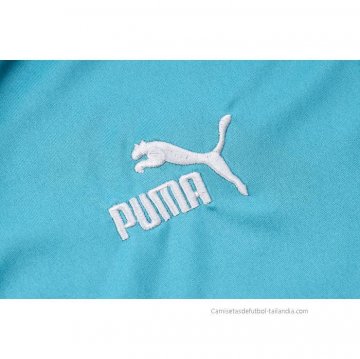Camiseta Polo del Palmeiras 2023-2024 Verde