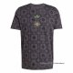 Camiseta Pre Partido del Bayern Munich 2025-2026 Gris