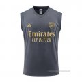 Camiseta de Entrenamiento Arsenal Sin Mangas 2023-2024 Gris