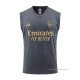 Camiseta de Entrenamiento Arsenal Sin Mangas 2023-2024 Gris