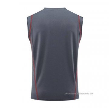 Camiseta de Entrenamiento Arsenal Sin Mangas 2023-2024 Gris
