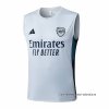 Camiseta de Entrenamiento Arsenal Sin Mangas 2025-2026 Gris Camiseta de Entrenamiento Arsenal Sin Mangas 2025-2026 Gris