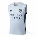 Camiseta de Entrenamiento Arsenal Sin Mangas 2025-2026 Gris