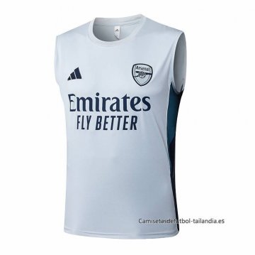 Camiseta de Entrenamiento Arsenal Sin Mangas 2025-2026 Gris