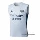 Camiseta de Entrenamiento Arsenal Sin Mangas 2025-2026 Gris