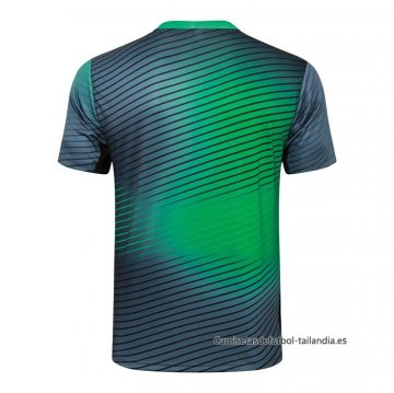 Camiseta de Entrenamiento Nigeria 2024-2025 Gris Verde