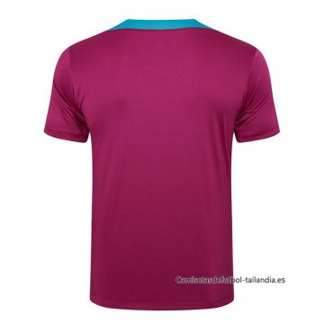 Camiseta de Entrenamiento Paris Saint-Germain 2024-2025 Purpura