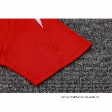 Camiseta de Entrenamiento Paris Saint-Germain Jordan 2024-2025 Rojo