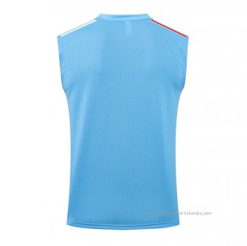 Camiseta de Entrenamiento Real Madrid Sin Mangas 2021-2022 Azul