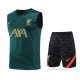 Chandal del Liverpool Sin Mangas 2022-2023 Verde