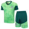 Chandal del Palmeiras Manga Corta 2024-2025 Verde - Pantalon Corto Chandal del Palmeiras Manga Corta 2024-2025 Verde - Pantalon Corto