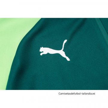 Chaqueta del Palmeiras 2024-2025 Verde