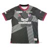 Tailandia 1ª Camiseta Cerezo Osaka Portero 2024 Tailandia 1ª Camiseta Cerezo Osaka Portero 2024