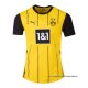 1ª Camiseta Borussia Dortmund Authentic 2024-2025