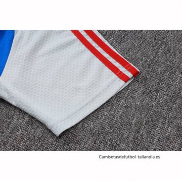 Camiseta Polo del Bayern Munich 2025-2026 Gris