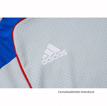 Camiseta de Entrenamiento Bayern Munich 2025-2026 Gris