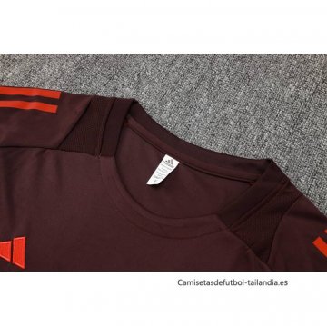 Camiseta de Entrenamiento Bayern Munich 2024-2025 Rojo