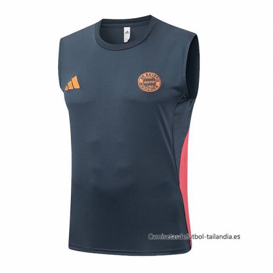 Camiseta de Entrenamiento Bayern Munich Sin Mangas 2025-2026 Gris Oscuro - Haga un click en la imagen para cerrar