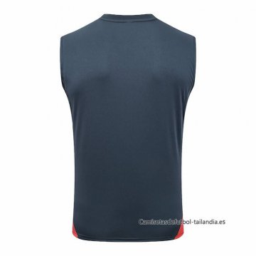 Camiseta de Entrenamiento Bayern Munich Sin Mangas 2025-2026 Gris Oscuro