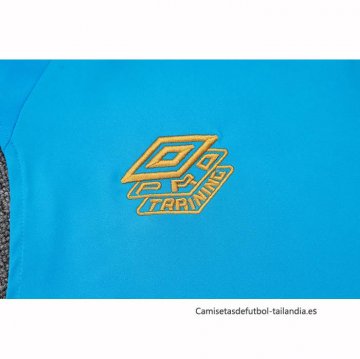 Camiseta de Entrenamiento Gremio Sin Mangas 2025-2026 Azul