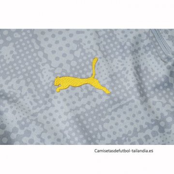 Chandal de Sudadera del Borussia Dortmund Nino 2025-2026 Gris