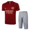 Chandal del Arsenal Manga Corta 2023-2024 Rojo - Pantalon Corto Chandal del Arsenal Manga Corta 2023-2024 Rojo - Pantalon Corto