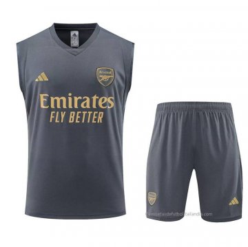 Chandal del Arsenal Sin Mangas 2023-2024 Gris Chandal del Arsenal Sin Mangas 2023-2024 Gris