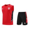 Chandal del Bayern Munich Sin Mangas 2022-2023 Rojo Chandal del Bayern Munich Sin Mangas 2022-2023 Rojo